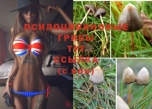 героин Кукмор